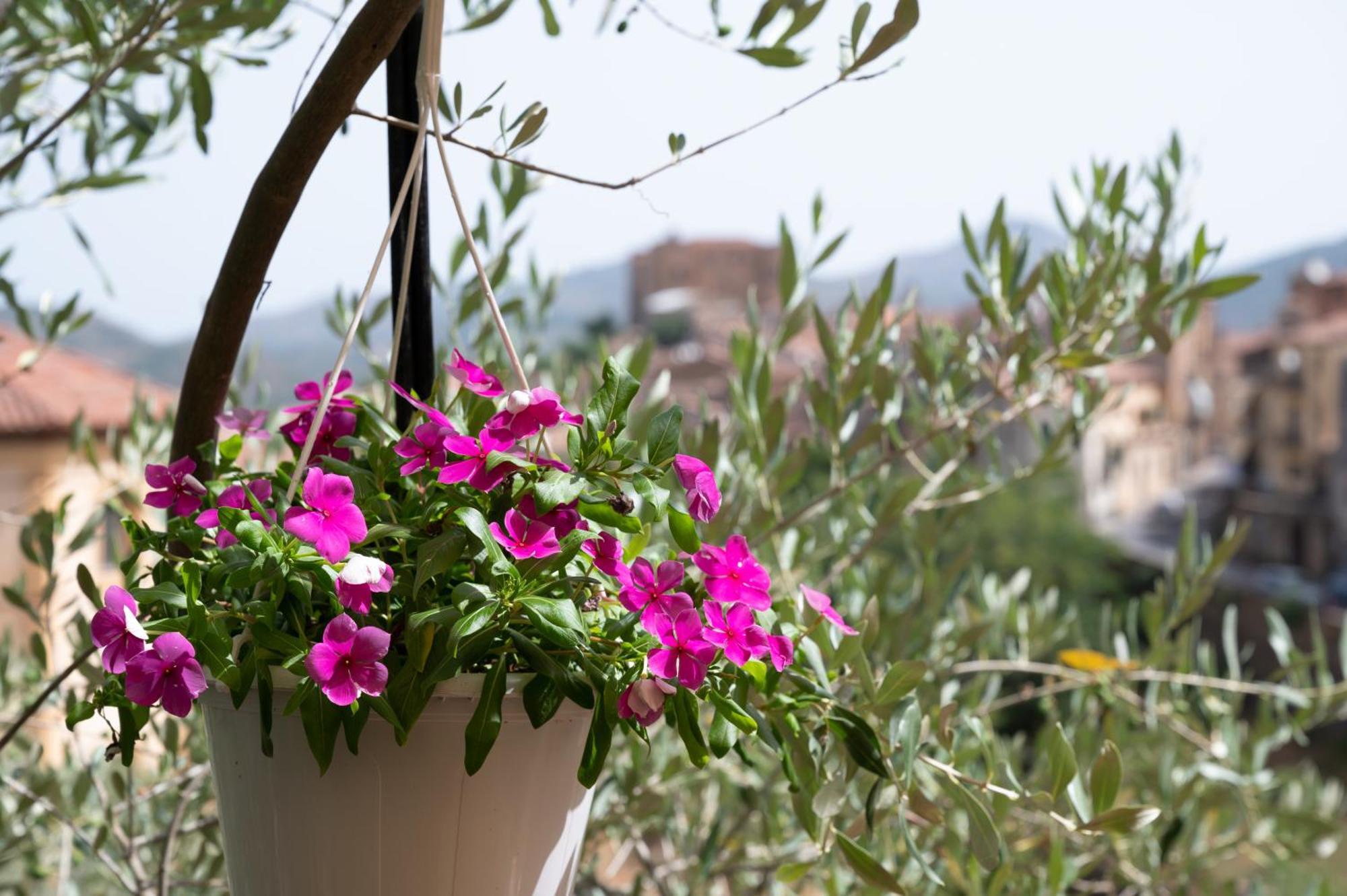 B&B Panorama Castelbuono  Exterior photo